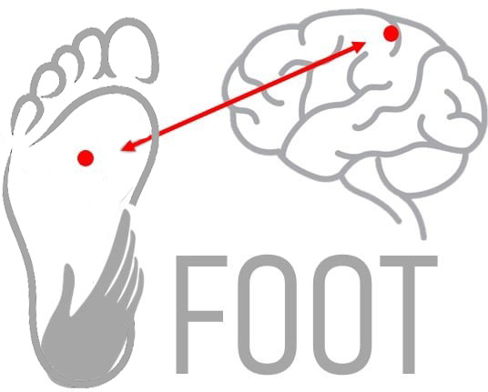 Étude FOOT Réflexologie plantaire étude réflexologie